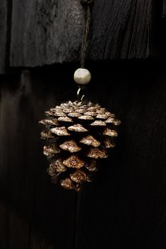 a pine cone hanging from a wooden door