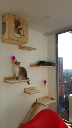 a cat sitting on top of some wooden shelves next to a red chair and window