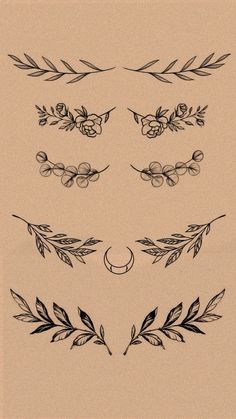 a set of hand drawn floral and leaf design elements on a piece of parchment paper