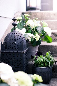 some white flowers are sitting in pots on the steps next to a black iron lantern