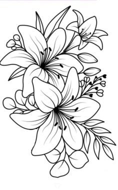 a drawing of some flowers on a white background with the words, how to draw lilies