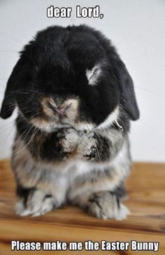 a black and white photo of a rabbit sitting on a wooden floor with its eyes closed