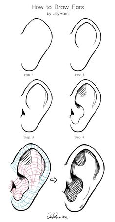 how to draw ears with different shapes and sizes, including the ear area for each child's head