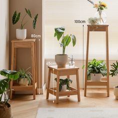 three wooden plant stands with plants on them in front of a window, and measurements for each one