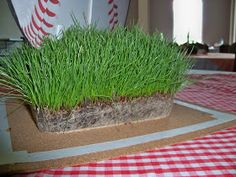 some grass is growing in a pot on a table with a red and white checkered tablecloth