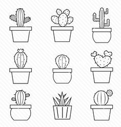 the different types of cactuses in pots are shown on this white background with black lines