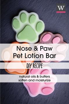 four dog paw shaped soaps with the words nose and paw pet lotion bar