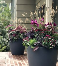 purple flowers are in large pots on the porch