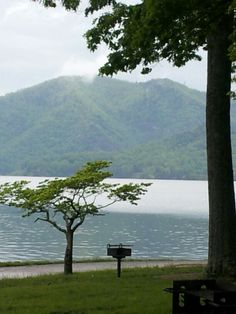 a bench sitting next to a tree near a lake with mountains in the back ground