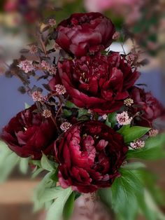 a vase filled with red flowers on top of a table