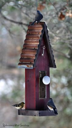 a bird feeder with two birds perched on it