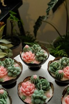 cupcakes decorated with pink and green flowers on a white cake plate surrounded by potted plants