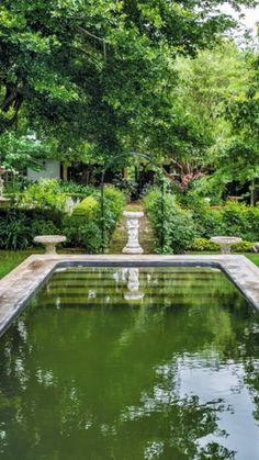 an outdoor pool surrounded by greenery and trees in the middle of a garden area