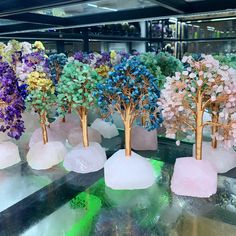 there are many small trees on display in the glass case, all different colors and sizes