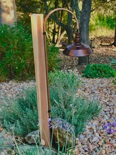 a garden with rocks, plants and a lamp post in the middle of it's yard