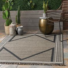 an outdoor area rug with potted plants on it