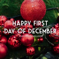 a red christmas ornament hanging from a tree with the words happy first day of december