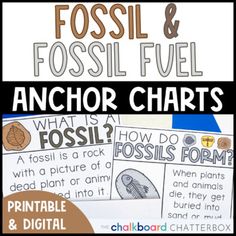 an anchor chart with the words fossil and fossil in it, which is also part of a