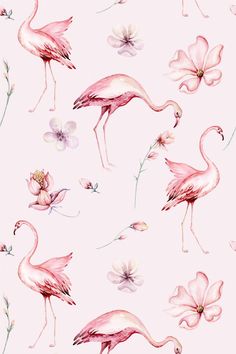 pink flamingos and flowers on a white background