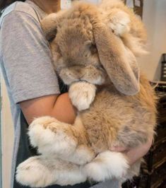 a woman holding a stuffed rabbit in her arms