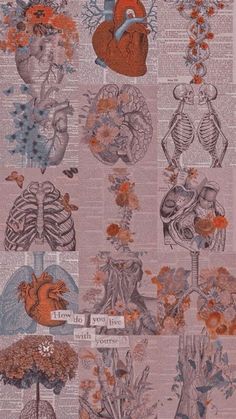 an old book with many different medical images on the pages, including heart and lungs