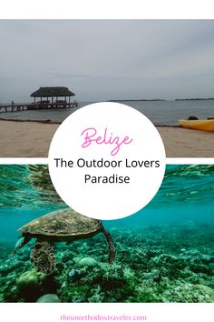 a turtle swimming in the ocean with text overlay that reads belge the outdoor lovers paradise