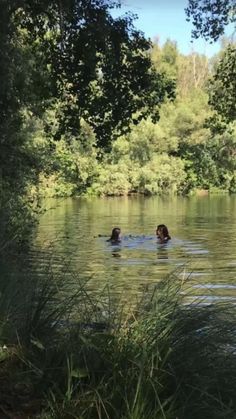 two people swimming in a lake surrounded by trees and grass, with one person floating in the water