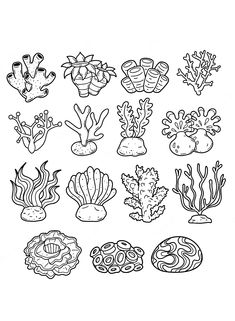 a black and white drawing of different sea life on the ocean floor, including corals