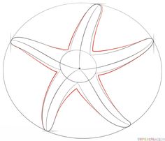 how to draw a starfish step by step