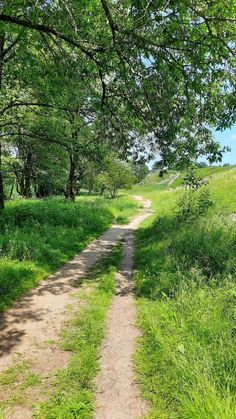 a dirt road in the middle of a lush green field