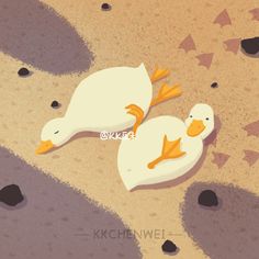 two ducks are laying on the sand together