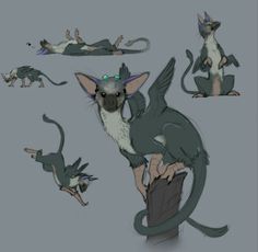 several different types of cats and mice on a gray background, including one cat with green eyes