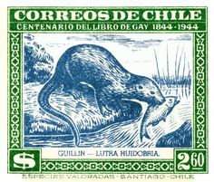 a stamp with an image of a rat on it's back and the words correos de chile written in spanish