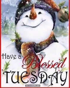 a snowman wearing a hat and scarf with the words have a blessed christmas written on it