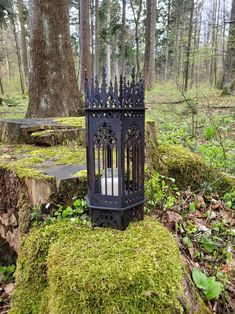 an iron lantern is sitting on moss in the woods