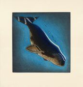 a drawing of a whale swimming in the ocean