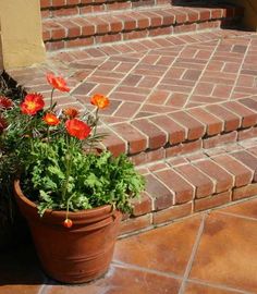 two potted plants sitting on the side of a set of steps with flowers growing out of them