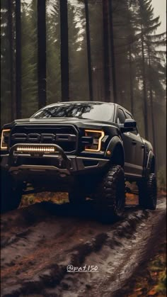 a black truck driving down a forest road