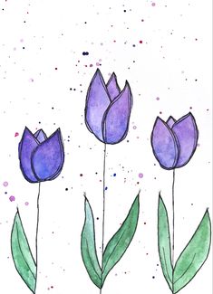 three purple tulips with green leaves on a white background