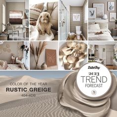 a collage of photos with the words, color of the year rustic greige