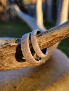 two rings sitting on top of a piece of wood in front of a tree branch