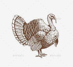 a turkey standing on its hind legs in a vintage woodcut style - animals characters