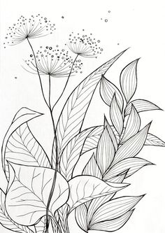 a black and white drawing of some flowers