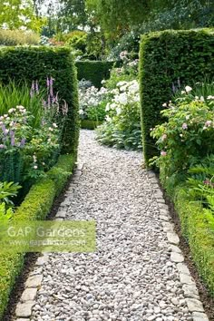 a stone path between two hedges in a garden filled with flowers and greenery on both sides