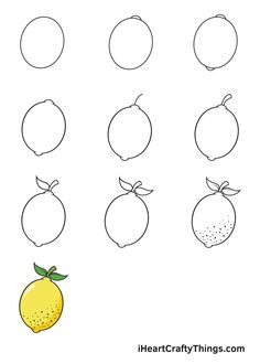 lemons and oranges are drawn in different ways