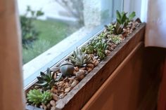 succulents and rocks in a window sill on the side of a house