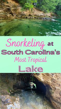 South Carolinas Tropical Lake Lake Marion South Carolina, Lake Keowee South Carolina, Lake Vacations, Lake Junaluska, Palmetto Tree, Have A Great Vacation