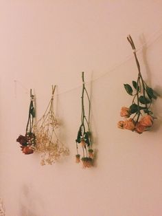 dried flowers hanging on the wall next to a bed