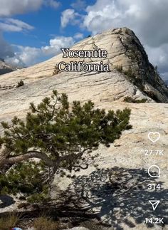 the yosemite national park is located on top of a large rock with a tree growing out of it