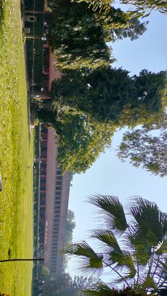 a man sitting on top of a bench next to a lush green park